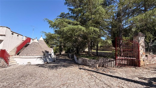 Villa Panoramica In Buone Condizioni Con Trullo Comunicante.